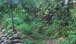 Thiếu nữ bị 6 trai làng hãm hại